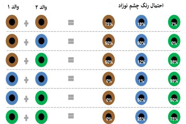 چه عواملی رنگ چشم نوزاد شما را مشخص می نماید؟