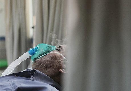 خوزستان در آستانه تنگی نفس پاییزی ، کنوکارپوس ها زودتر هرس شوند