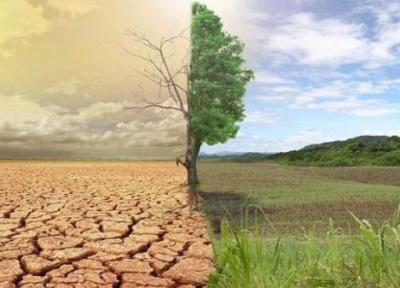 به صدا درآمدن زنگ خطر بیابان زایی در کاشمر